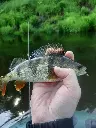 20250607_095548.webp