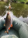20250601_114949.webp